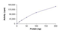 Sino Biological&nbsp;Recombinant Human AMPK (G1/B2/A2) Heterotrimer Protein (Full Length, A2/B2/G1, His & GST Tag), Active